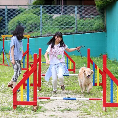 八ヶ岳わんわんパラダイス 1泊ペア宿泊券(2DK)<日~金曜日>