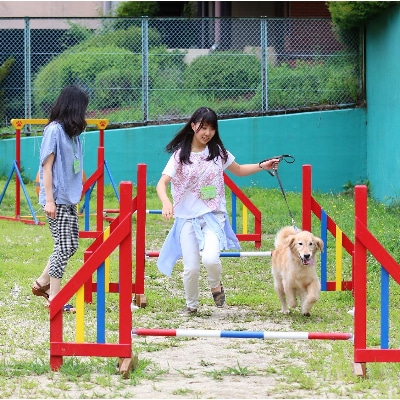 八ヶ岳わんわんパラダイス 施設利用券(30,000円分)