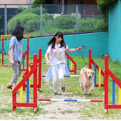 八ヶ岳わんわんパラダイス 施設利用券(9,000円分)