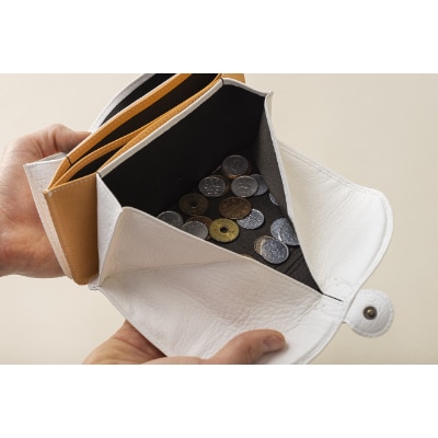 RIPS(北杜市産野生鹿革のレディース財布)ホワイト