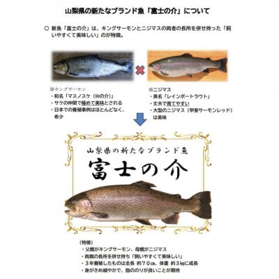 富士の介 冷燻 3パックセット (合計 300g)
