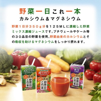 カゴメ 野菜一日これ一本 超濃縮 カルシウム&マグネシウム 125ml 紙パック 24本入