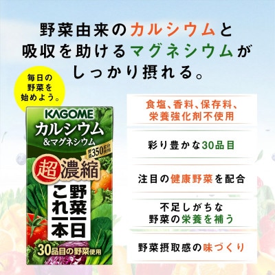 カゴメ 野菜一日これ一本 超濃縮 カルシウム&マグネシウム 125ml 紙パック 24本入