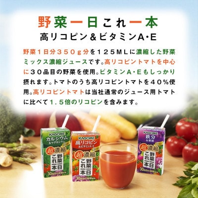 【毎月定期便】カゴメ 野菜一日これ一本 超濃縮 高リコピン&ビタミンA・E 125ml 24本全3回