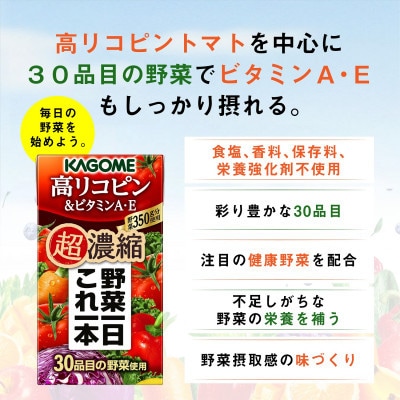 【毎月定期便】カゴメ 野菜一日これ一本 超濃縮 高リコピン&ビタミンA・E 125ml 24本全3回