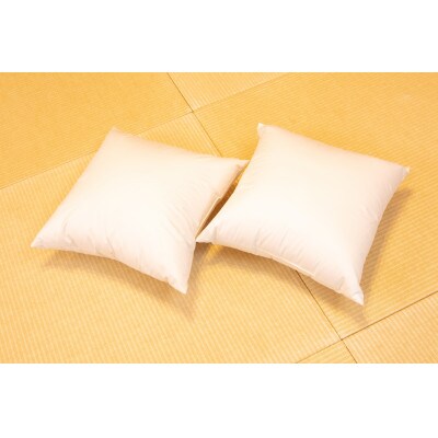 ホテル仕様の羽毛クッション<45cm×45cm>2個セット　ホワイトダックダウン50%