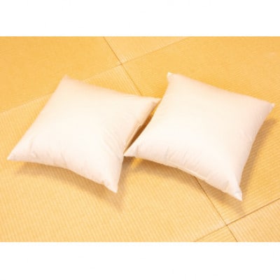 ホテル仕様の羽毛クッション(50cm×50cm)2個セット　ホワイトダックダウン50%