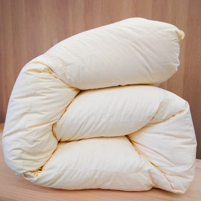 リサイクル羽毛掛布団　白州洗いのリサイクル羽毛ダウン90% 羽毛量1.24kg　冬掛けシングルサイズ