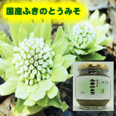 ふきのとうみそ 国産無添加 125g×5本