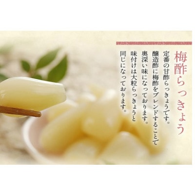 らっきょう 国産無添加 色白美人らっきょう 食べきりサイズ 600g (100g×6)