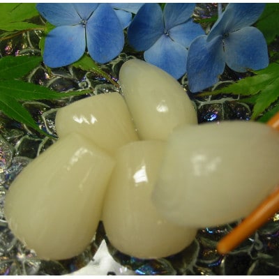 らっきょう 国産無添加 色白美人らっきょう 食べきりサイズ 600g (100g×6)