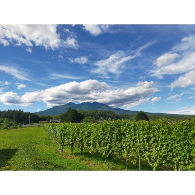 Passerelle Blanc(パスレル ブラン) 2024