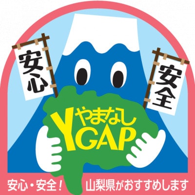 【先行予約】西洋梨(ラ・フランス)約1.5kg(4～8玉)光センサーで糖度14度以上を確認済