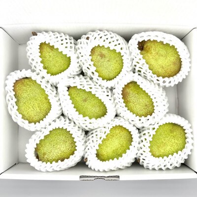 【先行予約】西洋梨(ラ・フランス)約2.8kg(4～11玉)光センサーで糖度14度以上を確認済