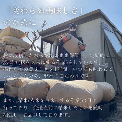 【令和4年産】八ヶ岳の余韻 特別栽培米 ミルキークイーン 5kg×2袋