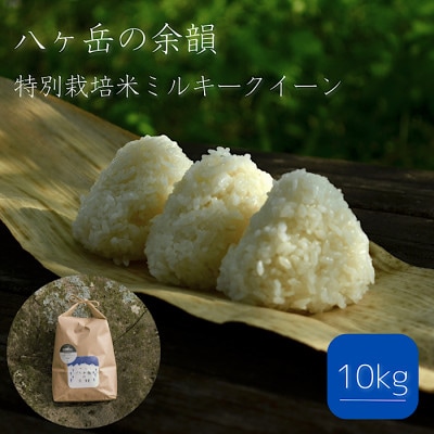 【令和4年米】八ヶ岳の余韻 特別栽培米 ミルキークイーン(10kg×1袋)