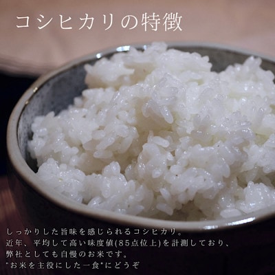 【令和4年米】八ヶ岳の余韻 特別栽培米 コシヒカリ(5kg×1袋)