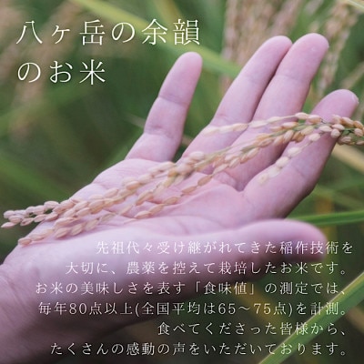 【令和4年米】八ヶ岳の余韻 特別栽培米 コシヒカリ(5kg×1袋)