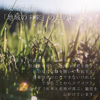 【令和4年米】八ヶ岳の余韻 特別栽培米 コシヒカリ(5kg×1袋)