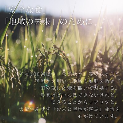 【令和4年米】八ヶ岳の余韻 特別栽培米 コシヒカリ(10kg×1袋)