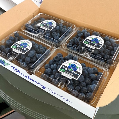 山梨・北杜市産　大きく、甘い完熟ブルーベリー　250g×4パック(1kg)