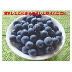 7月下旬まで!! 農家秘蔵の極甘ブルーベリー 中粒500g(250g&times;2パック)