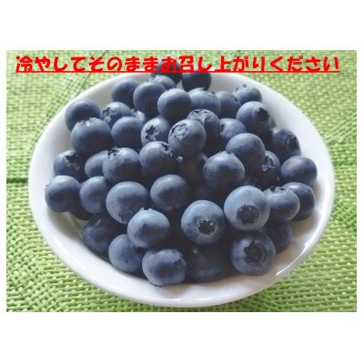 8月一杯　甘くてジューシーな中粒ブルーベリー 500g(250g×2パック)
