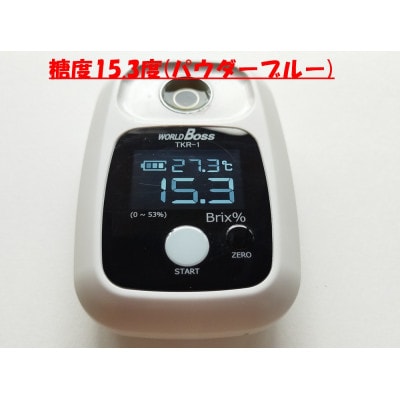 8月一杯　甘くてジューシーな中粒ブルーベリー 500g(250g×2パック)