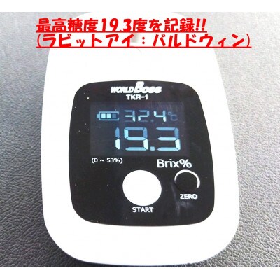 2024年版　大人気!甘くジューシーな冷凍ブルーベリー2kg(1kg×2パック)
