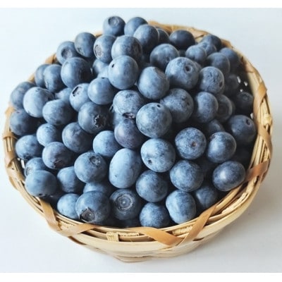 2027年6月下旬～9月中旬発送予定!農家秘蔵の極甘ブルーベリー　中粒500g(250g×2パック)