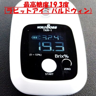 2027年7月～9月発送予定 甘み際立つ、完熟大粒ブルーベリー 1kg(250g×4パック)