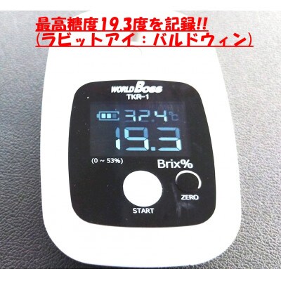 2026年産　大人気!甘くジューシーな冷凍ブルーベリー 1kgパック