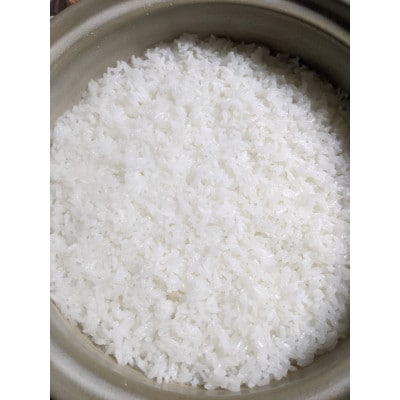 白州米 コシヒカリ『白米』3kg