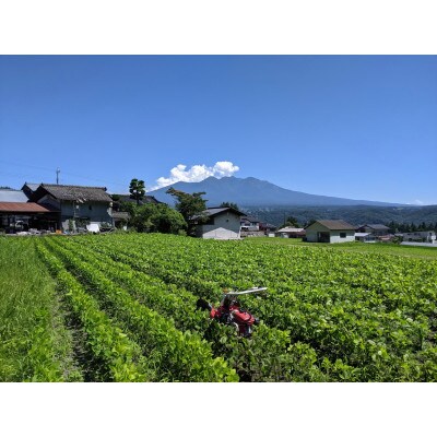 白州米・てづくりみそセット