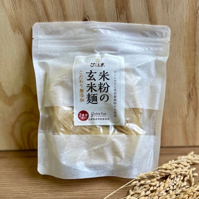 【米粉の玄米麺】(麺のみ)2食入×5袋　グルテンフリー　半生　特別栽培『コシヒカリ』使用