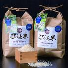 冷めても美味しい!【令和7年産】こぴっと米【五百川】白米・4kg　特別栽培米