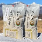 国際大会受賞歴有!【令和7年産】こぴっと米【農林48号】白米・4kg　特別栽培米