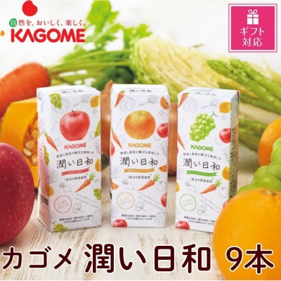 【ギフト包装対応】カゴメ　潤い日和(3種)計9本