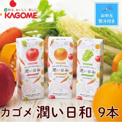 【お中元】カゴメ　潤い日和(3種)計9本
