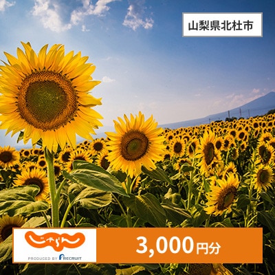 【じゃらんふるさと納税クーポン】 山梨県北杜市でつかえる3,000円 クーポン