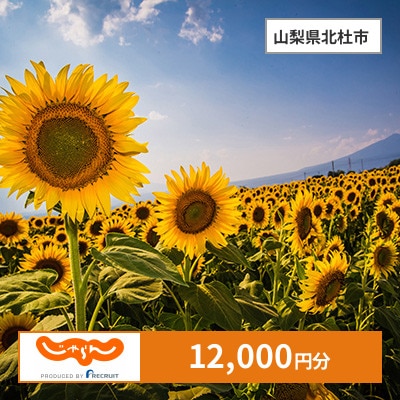 【じゃらんふるさと納税クーポン】 山梨県北杜市でつかえる12,000円 クーポン