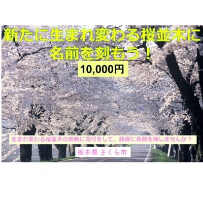 新たな桜並木に名前を刻もう!〈新早乙女桜並木への銘板設置〉10,000円新たな桜並木に名前を刻もう!