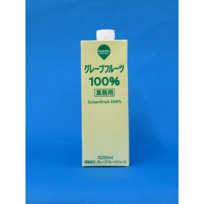 めいらく業務用100%果汁(グレープフルーツ)　12本