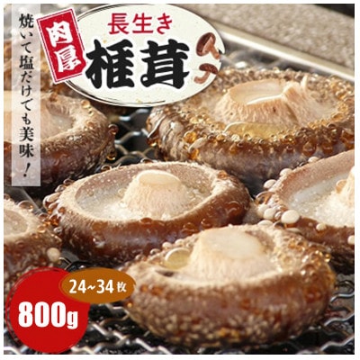 焼いて塩だけでも美味!「肉厚」長生き椎茸800g(24～34枚)×1パック
