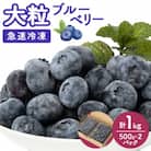 【大粒】冷凍ブルーベリー1kg(500g×2パック)