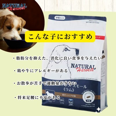 メンテナンススモールラム 1.1kg
