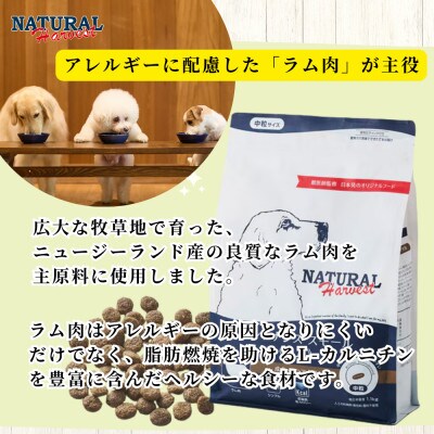 メンテナンススモールラム 1.1kg
