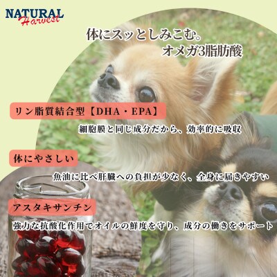 南極のオキアミ由来のクリルオイル 180粒