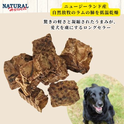ドライドラムラング 計160g(80g×2袋)