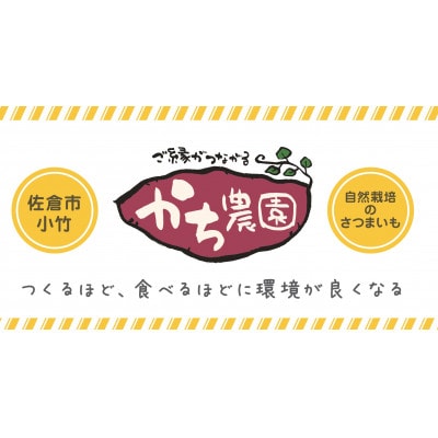 天日干し  佐倉の有機干し芋 計300g